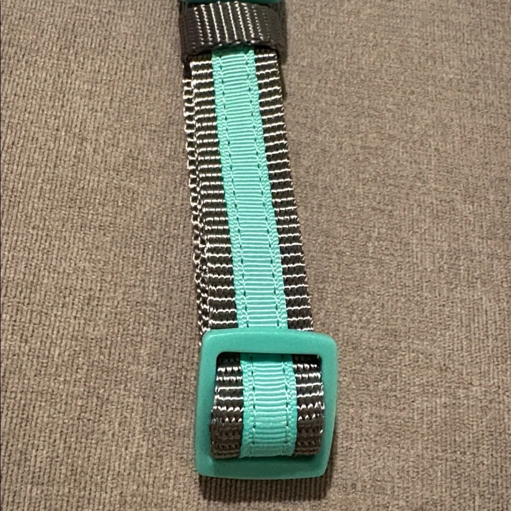 NWT [Martha Stewart] Adjustable Nylon Dog Collar in Bowtie Mint, Multiple Sizes!